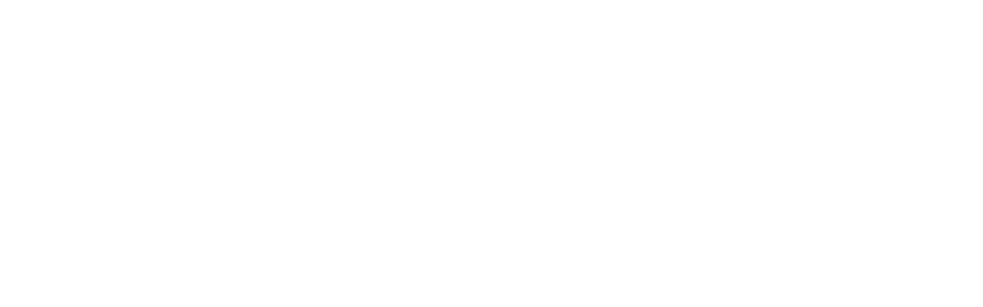 TORMA white transparent logo